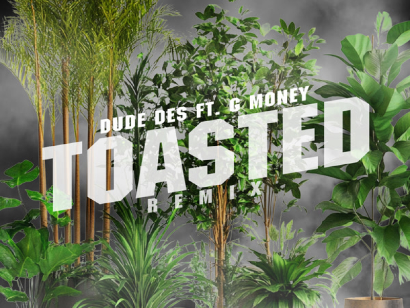 Toasted (Remix) (Single)