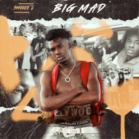 Big Mad (Single)