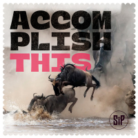 Accomplish This (Golden Years) (Single)