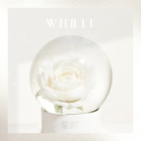 THE BOYZ Special Single 'White' (Single)