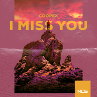 I Miss You (Single)