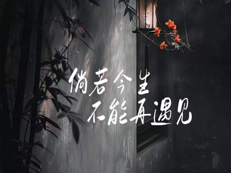 倘若今生不能再遇见