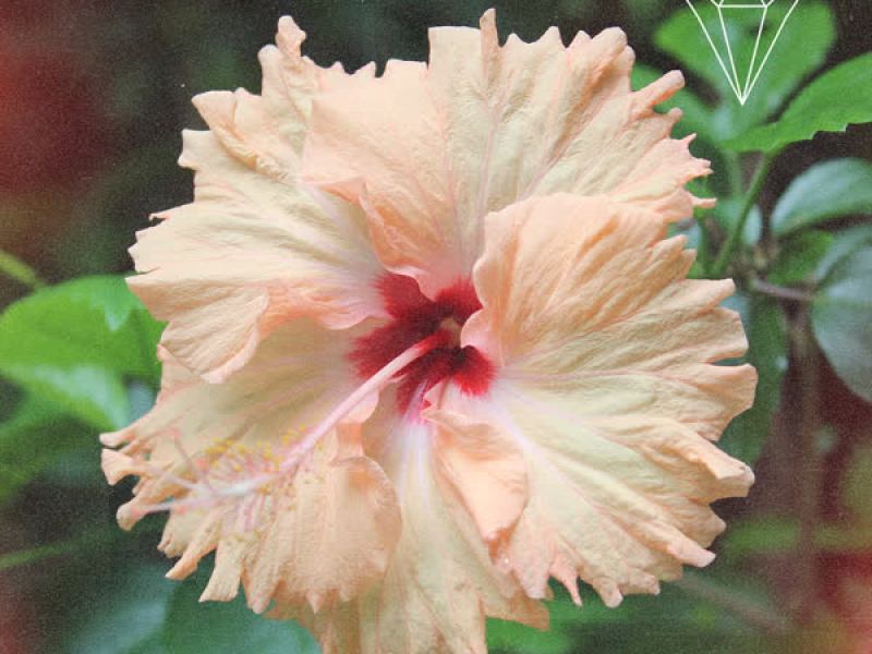 It Happened Just Once (Single)