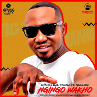 Ngingo Wakho (Single)