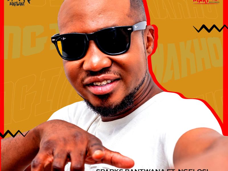 Ngingo Wakho (Single)