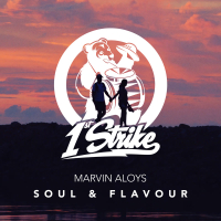 Soul & Flavour (Single)