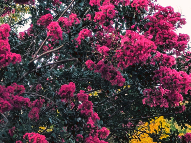 Peaks and Valleys (Single)