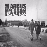 Allt du velat ha (Single)