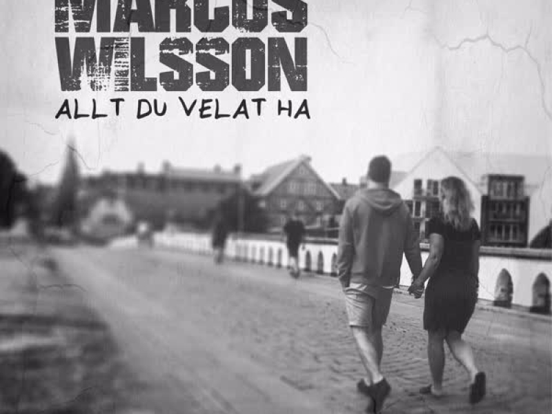 Allt du velat ha (Single)
