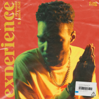 Experience (Single)