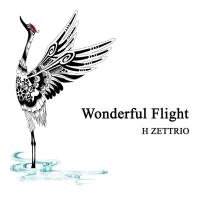 Wonderful Flight (Single)