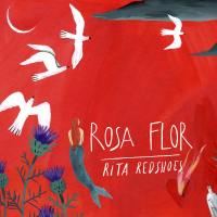 Rosa Flor (Single)