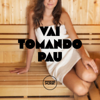Vai Tomando Pau (Single)