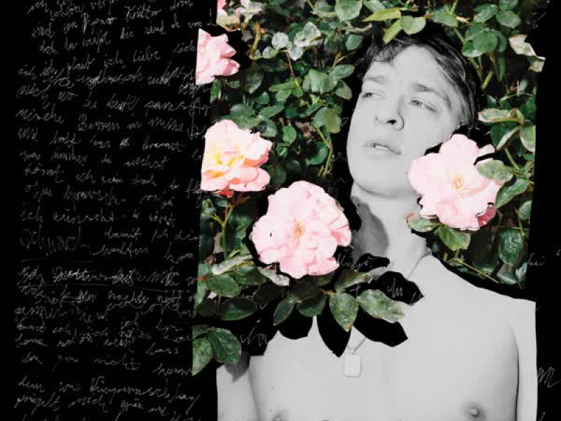 Ich wünschte, du wärst verloren (Single)