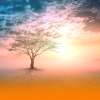 Healing Harp And Piano With Ambient Music And Soothing Nature Sounds For Deep Relaxation And Stress Relief (Single)