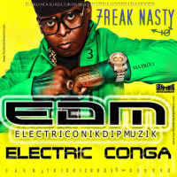 Electric Conga (Single)