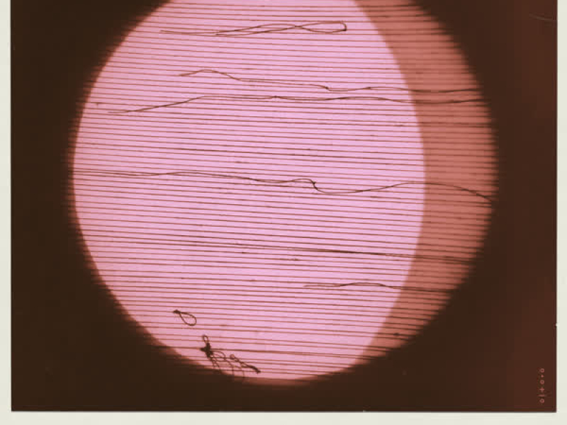 The Most Beautiful Thing (Single)