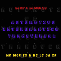 AUTOMOTIVO INTERGALÁTICA TRANSVERSAL (Single)