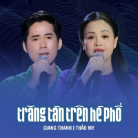 Trăng Tàn Trên Hè Phố (Single)