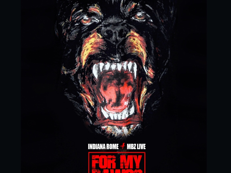 For My Dawgs (feat. Mbz Live)
