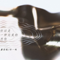 怀旧是一种完美的悲伤 (Single)