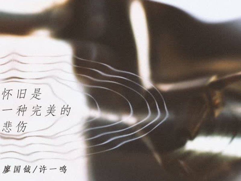 怀旧是一种完美的悲伤 (Single)