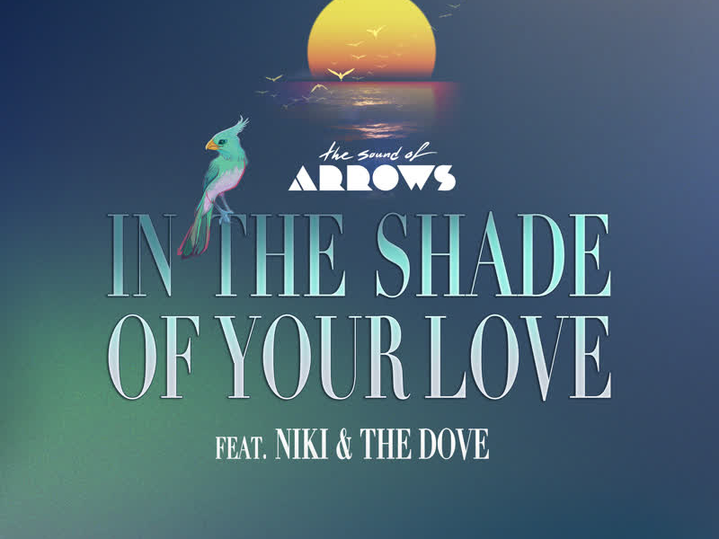 In the Shade of Your Love (Single)