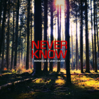 Never Know (Single)