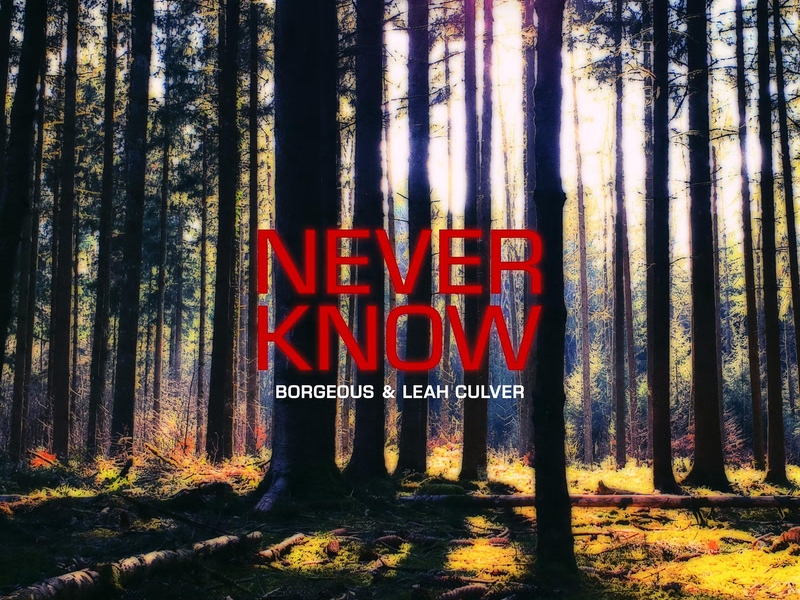 Never Know (Single)