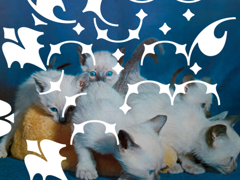 Full Color Book of Cats (EP)