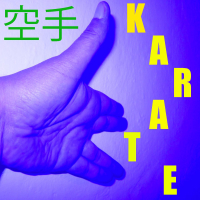 Musica per il Karate Vol. 11 (Single)