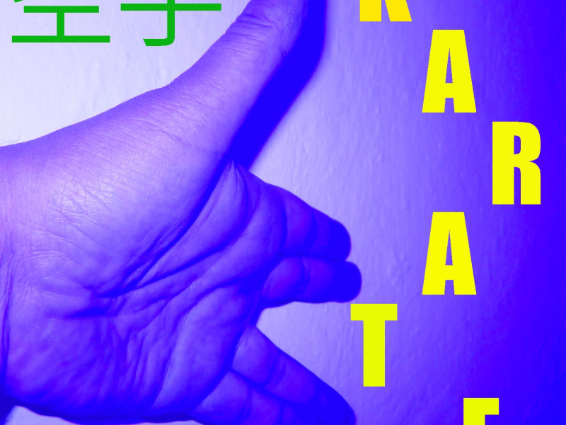 Musica per il Karate Vol. 11 (Single)