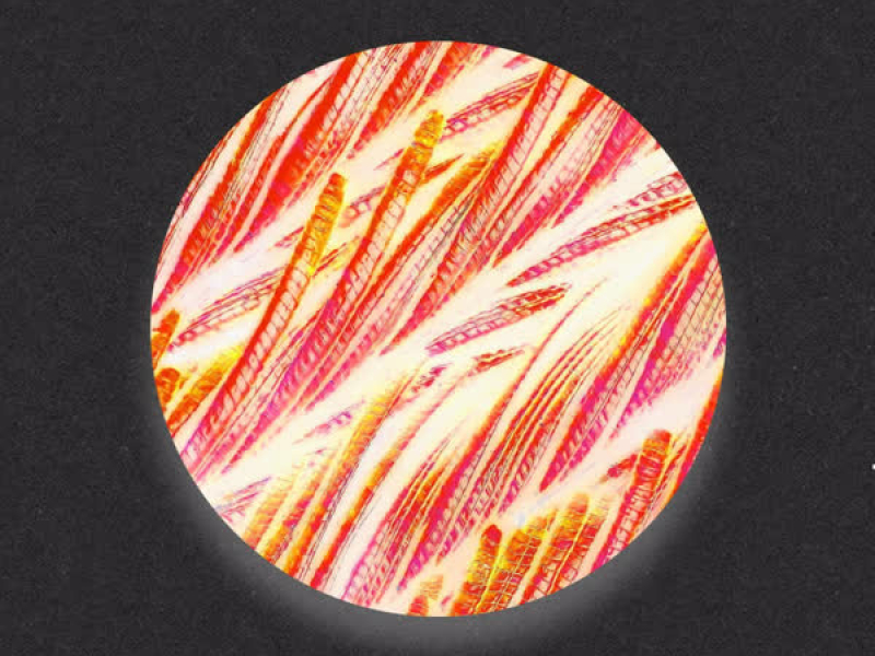 Let It Go // Remix EP (EP)