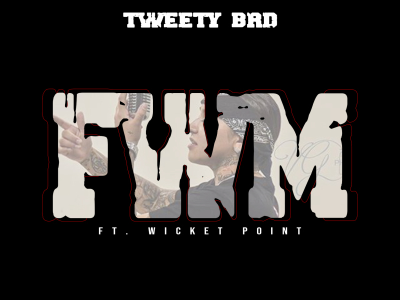 FWM (feat. Wicket Point)