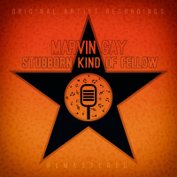 Stubborn Kind of Fellow