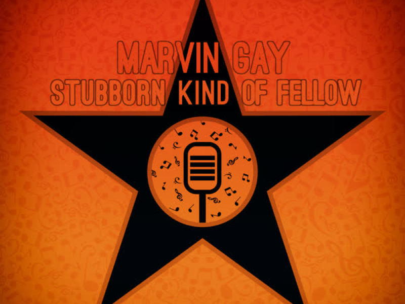 Stubborn Kind of Fellow