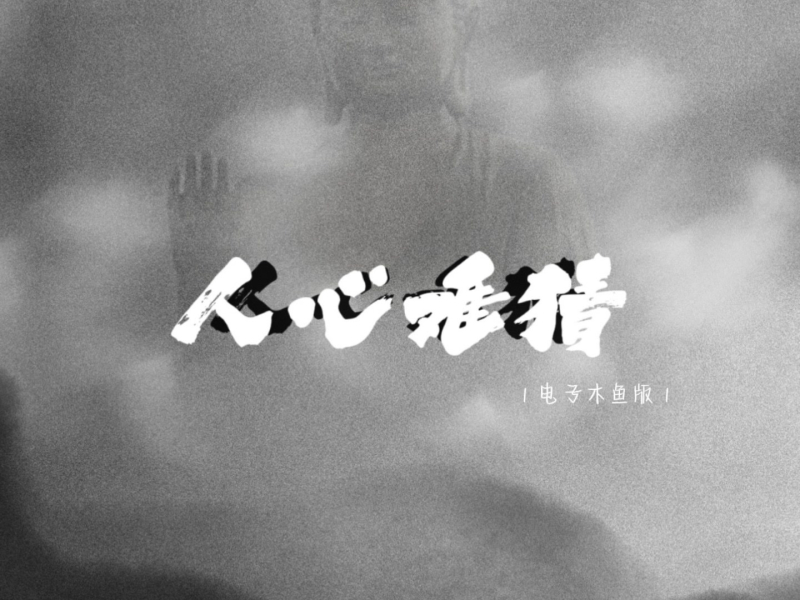 人心难猜 (电子木鱼版) (Single)