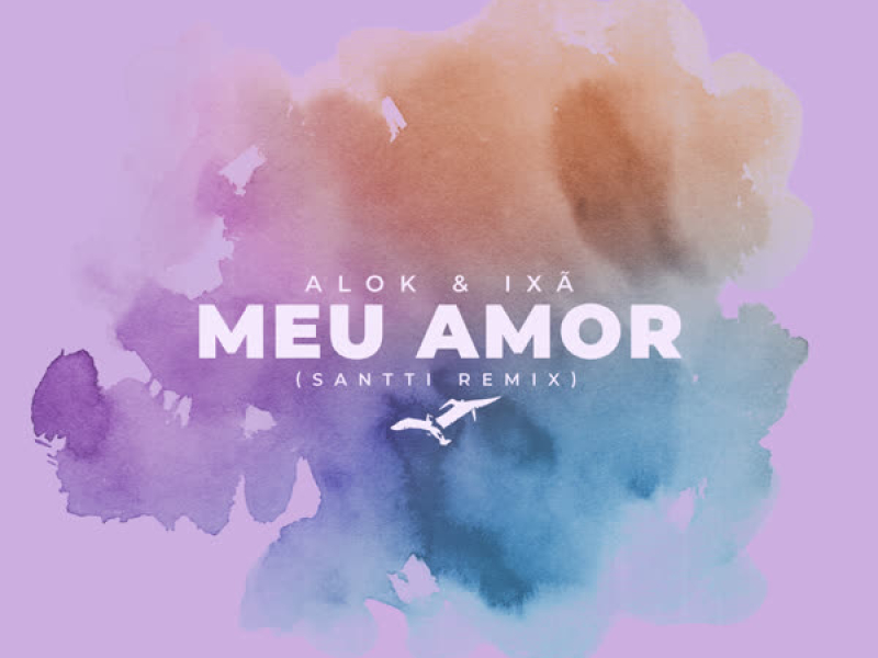 Meu Amor (Santti Remix) (Single)