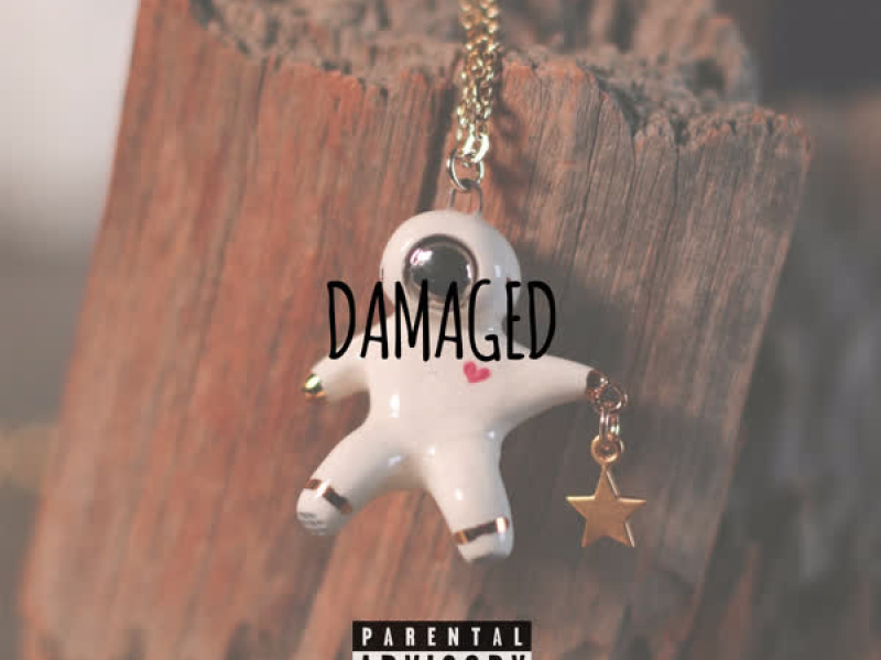 Damaged (Single)