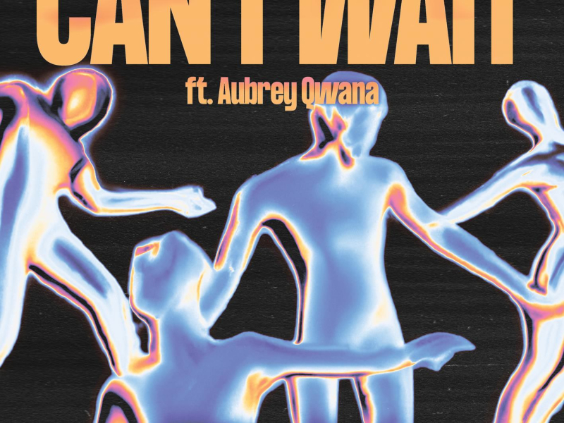 Can't Wait (Single)
