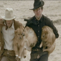 Chick Lit (MV) (Single)