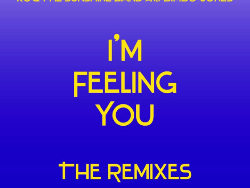 I'm Feeling You - The Remixes