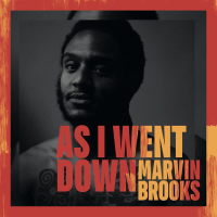 As I Went Down (Single)