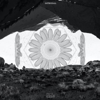 Your window (Single)