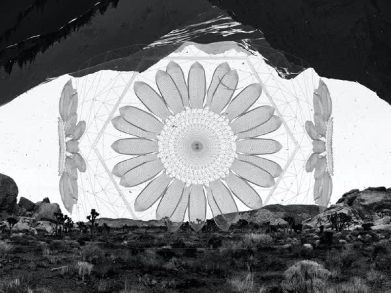 Your window (Single)