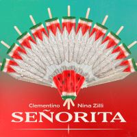 Senõrita (Single)