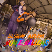 Bunte Ballons (Single)