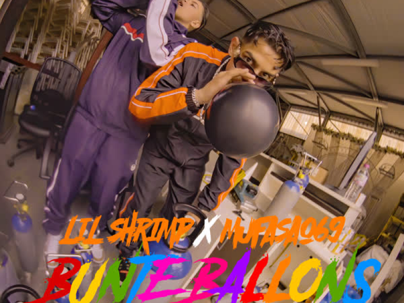 Bunte Ballons (Single)