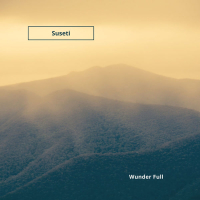 Wunder Full (Single)