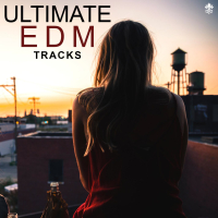 Ultimate EDM Tracks (Single)